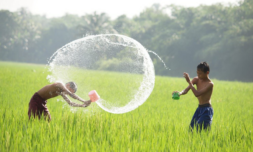 sawah 3