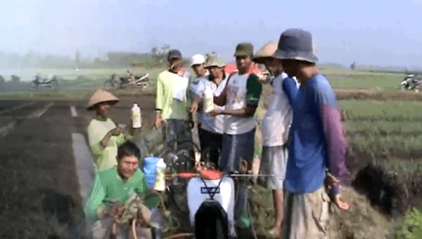 Bawang merah meningkat 2x lipat